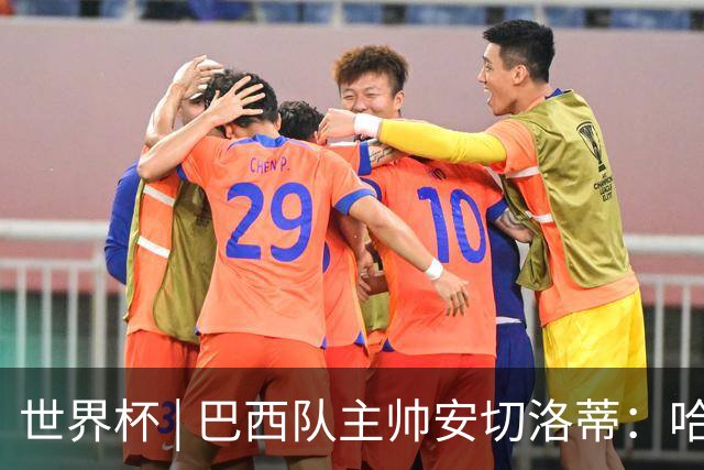 世界杯 | 巴西队主帅安切洛蒂：哈兰德决定了比赛胜负