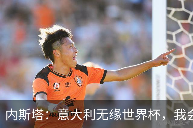 内斯塔：意大利无缘世界杯，我会支持恩师安帅和好友卡纳瓦罗
