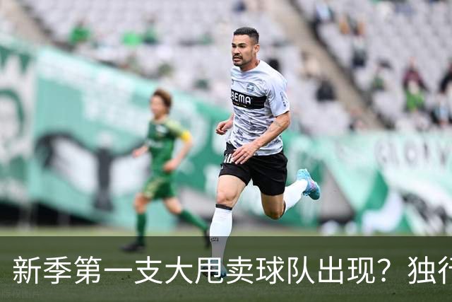 新季第一支大甩卖球队出现？独行侠换代克莱欧文都得走