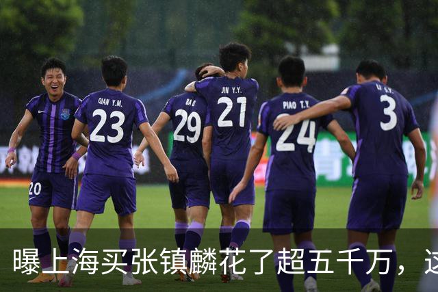 曝上海买张镇麟花了超五千万，这相当于一支球队整个赛季收入！