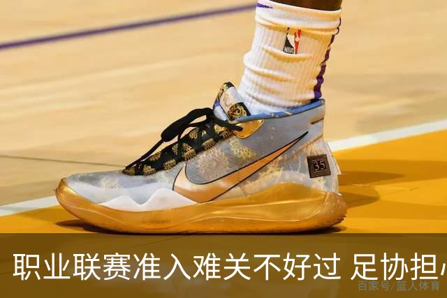 职业联赛准入难关不好过 足协担心并不是多余